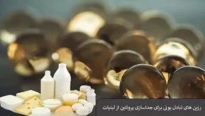 رزین های تبادل یونی برای جداسازی پروتئین از لبنیات